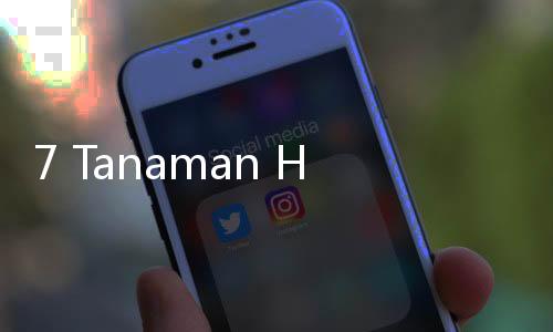 7 Tanaman Herbal Ini Bisa Meningkatkan Kecerdasan Otak