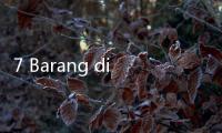 7 Barang di Pesawat yang Boleh Kamu Bawa Pulang, Apa Saja?