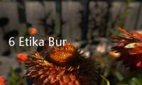 6 Etika Buruk Penumpang Saat di Pesawat, Jangan Ditiru Ya!