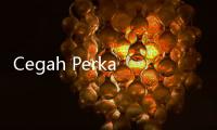 Cegah Perkawinan Anak, LSM Dorong Adanya Pendekatan Kultural
