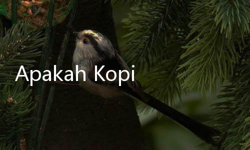 Apakah Kopi Aman Diminum Setiap Hari?