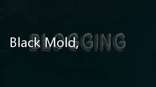 Black Mold, Jamur Hitam yang Suka Hidup di Tembok dan Berbahaya