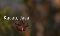 Kacau, Jasa Marga Bilang 465.582 Tinggalkan Jakarta, Paling Banyak ke...