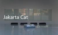 Jakarta Catat Kasus Tertinggi Mpox, Ini Bedanya dengan Cacar Air