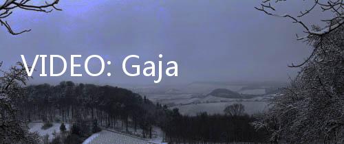 VIDEO: Gajah